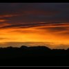 20061125_028